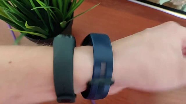 Miband 4 рядом с honor band 4 мнение пользователя смотреть онлайн