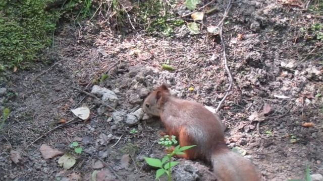 Поддержим Наших!