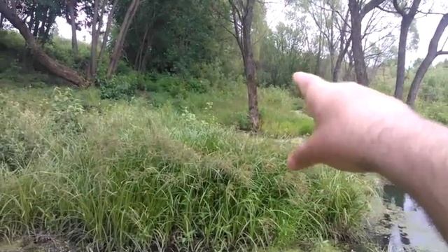 Исток Волги - величайшей европейской реки - в поисках истока Оки выше родника - 9 ч. из 11 смотреть онлайн