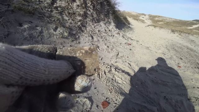 ФАНТАСТИЧЕСКИЙ КОП! НАШЕЛ ОГРОМНЫЙ ЯНТАРЬ! НАШЕЛ ОКАМЕНЕЛУЮ НОГУ ПЕРИОДА ДИНОЗАВРОВ! смотреть онлайн