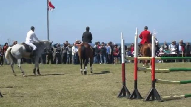Конный спорт. Соревнования в Поти. Грузия. 1 смотреть онлайн