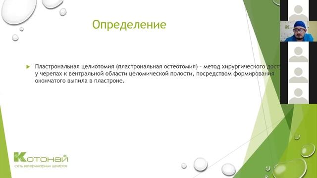 Хирургия черепах смотреть онлайн