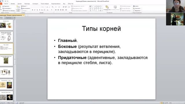 Видеоконференция по ботанике для обуч 1 к напр подг 35 03 01 по теме Органография Корень смотреть онлайн