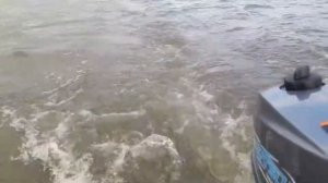 Отзыв клиента Глобалдрайв(Globaldrive) от владельца лодочного мотора Микатсу(Mikatsu) 3.5