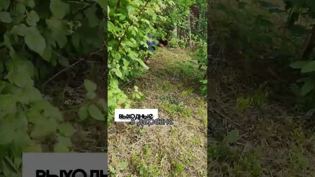 запахло деревней #shorts выходные ностальгия по детству. дом,где я провела все свое детство смотреть онлайн