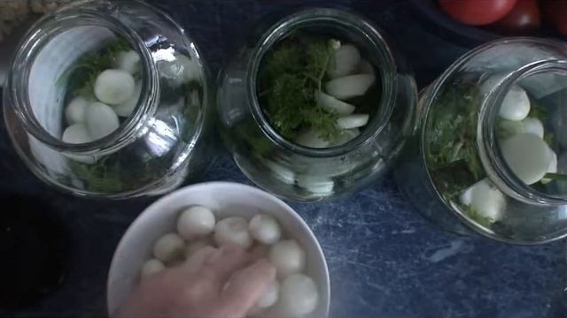 Рецепт: Маринованные помидоры с луком и цветной капустой смотреть онлайн