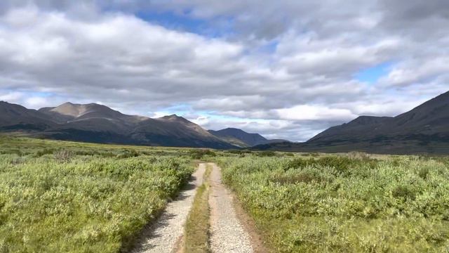 Лето на Чукотке 2022 смотреть онлайн