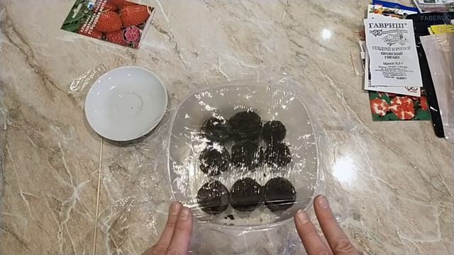 Посев семян клубники (земляники садовой) в марте! смотреть онлайн