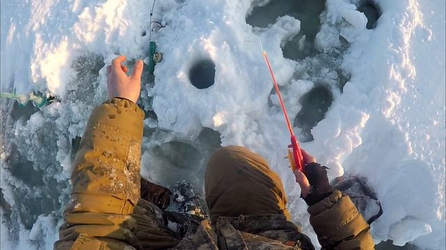 Рыбалка в -30. Я всё таки её нашёл! Супер клёв окуня! Сосиски И костерок! смотреть онлайн