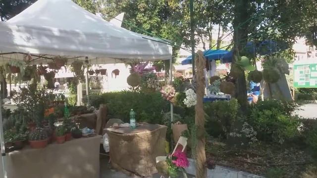 Выставка цветов и растений в Форте дей Марми смотреть онлайн