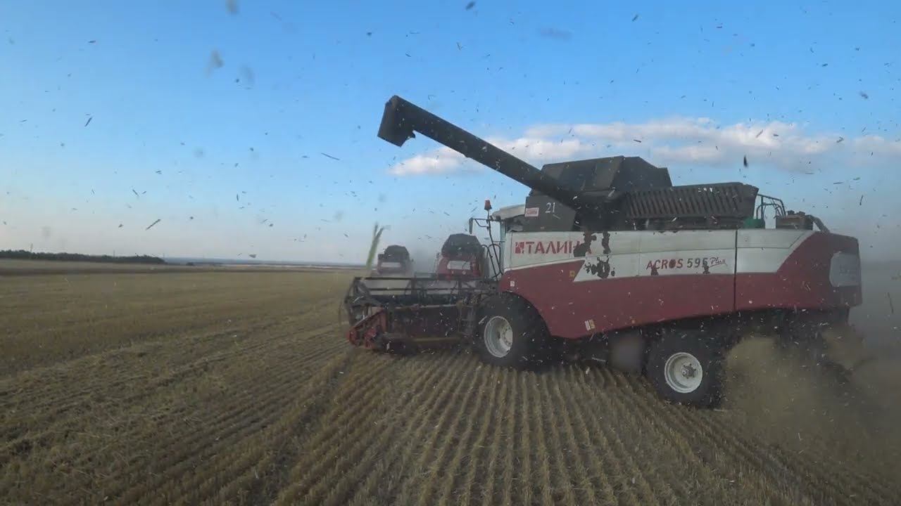 УБОРКА 2023-СЕРИЯ -7 смотреть онлайн