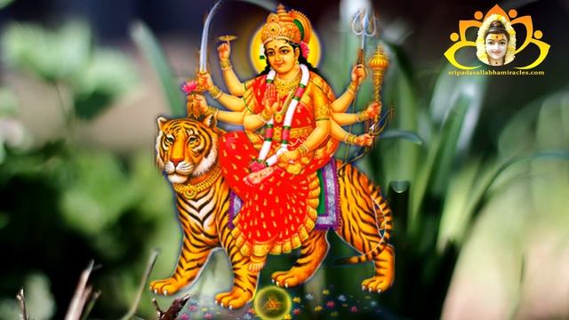 Hari Om Tat Sat Jai Guru Datta смотреть онлайн