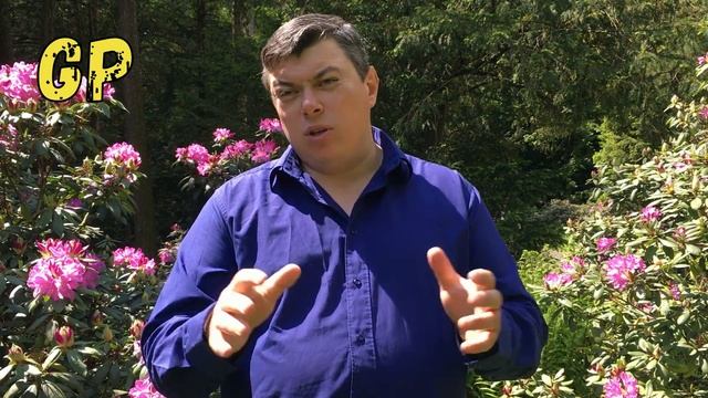 Какие же вы, польки??? Jaki sa polki? смотреть онлайн