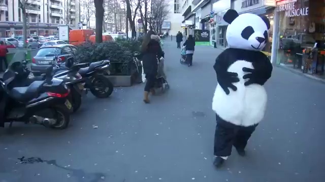 Колдующая панда смотреть онлайн