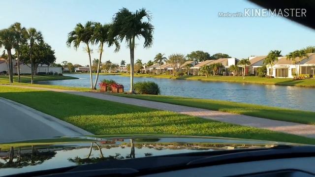 # 57 VLOG USA. СКОЛЬКО МЫ ТРАТИМ НА ПРОДУКТЫ. ПИРОГ СПАНАКОПИТА. РАБОТА В UBER.