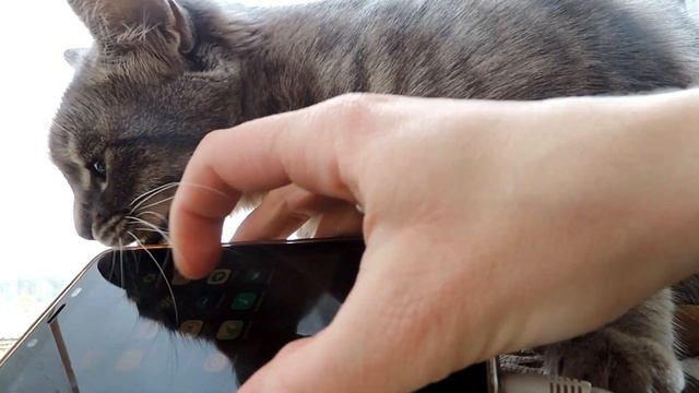 КАК ЗАПИСАТЬ КАЧЕСТВЕННЫЙ ЗВУК В ВИДЕО смотреть онлайн