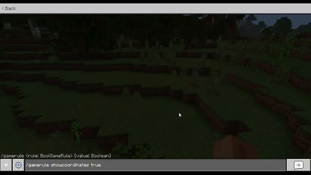 HOW TO SEE COORDINATES IN MINECRAFT TRIAL смотреть онлайн