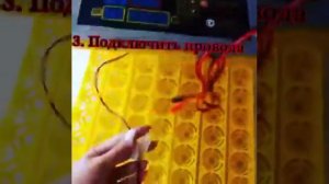 Инкубатор бытовой Комфорт на 56 яиц. 100% автомат. Пр-ва Китай