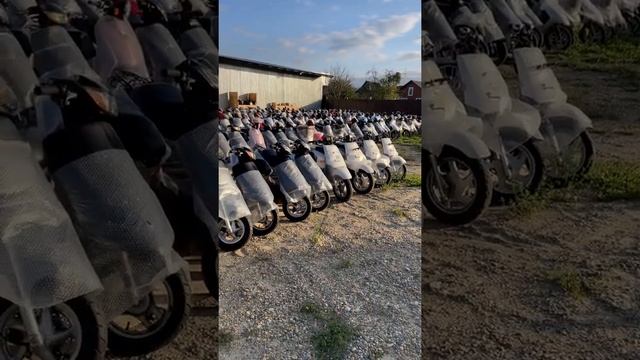 Скутеры Мопеды Мотороллеры из Японии￼ смотреть онлайн