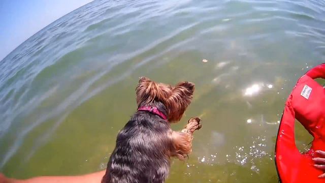 Урзуф осенью в большой цене!Пляжный сезон 2019 продолжается! смотреть онлайн