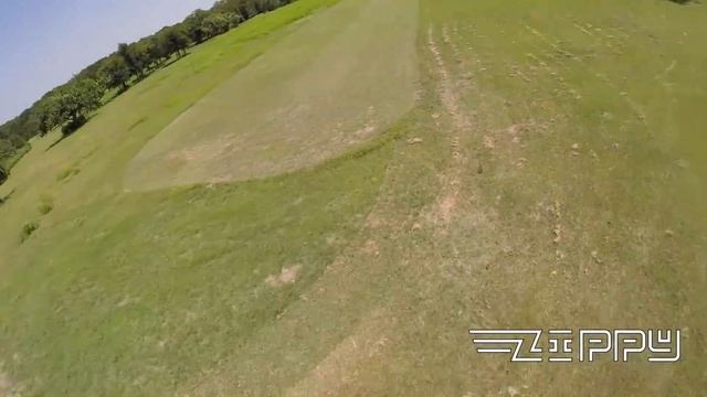 Zippy Crash Testing смотреть онлайн