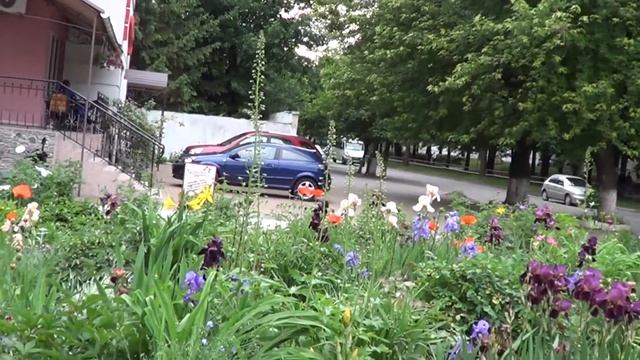 Клумба "остановочная" смотреть онлайн