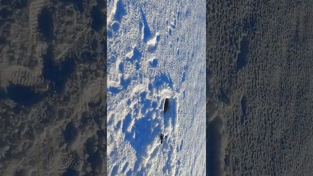 Polaris LXT Fish-N- Flappin смотреть онлайн