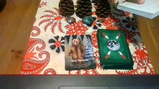 Seasons of The Witch Yule Oracle Deck Unboxing Flip Through Walk Through 9/2021 смотреть онлайн