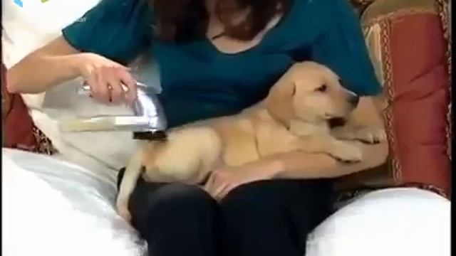 Щетка пылесос Auto Pet Shaver, для удаления шерсти животных смотреть онлайн