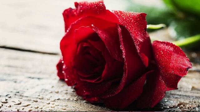 С Днем Рождения Музыкальная открытка Прекрасное поздравление смотреть онлайн