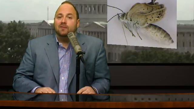 Thom Hartmann on the News - August 14, 2012 смотреть онлайн