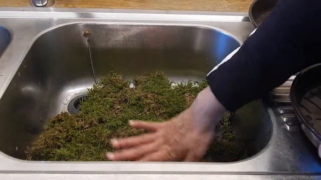 Moss Collecting & Cleaning смотреть онлайн