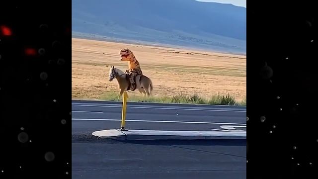 Лучшие приколы 2020 #21 | ? Зайдет ? | ?☔ ТАРАКАНИЩЕ ☔? | Лучшие приколы 2020 #21 смотреть онлайн