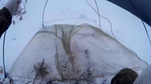 Ловля на малявочницу . Запасаю малька на зиму