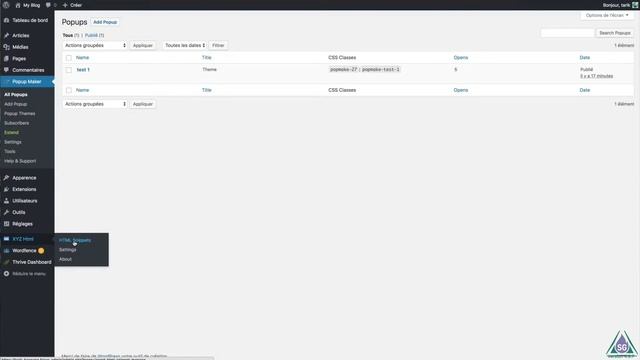 Utiliser Popup Maker avec SG Autorépondeur (mise à jour) смотреть онлайн