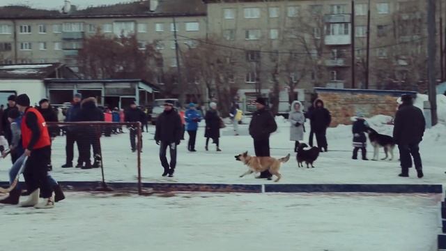 Зимний спортивный праздник 2016 смотреть онлайн