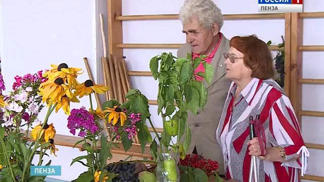 На выставке в Пензе пенсионеры представили необычные дары осени смотреть онлайн