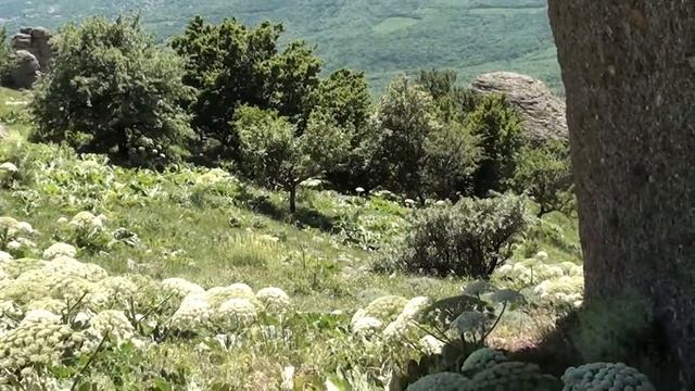 Демерджи и долина приведений смотреть онлайн