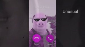 JOHN PORK IS CALLING SOUND VARIATIONS. I ANSWERED HIM...