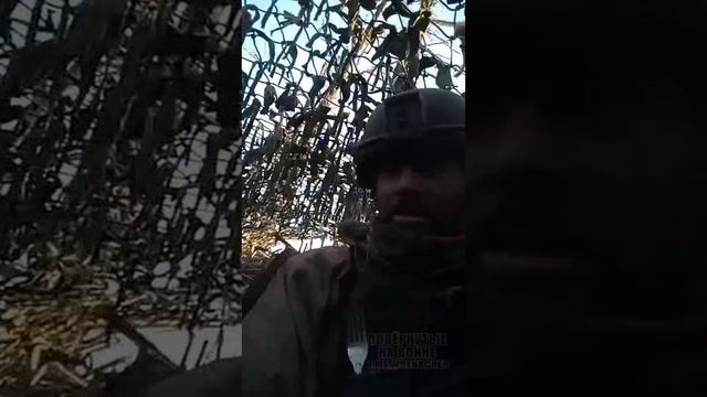 Чёрный юмор - лайфакт от всушника смотреть онлайн