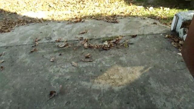 Обзор дачи 3 смотреть онлайн