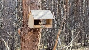 Гуляем в парке "Гремячая грива" || Едим пончики