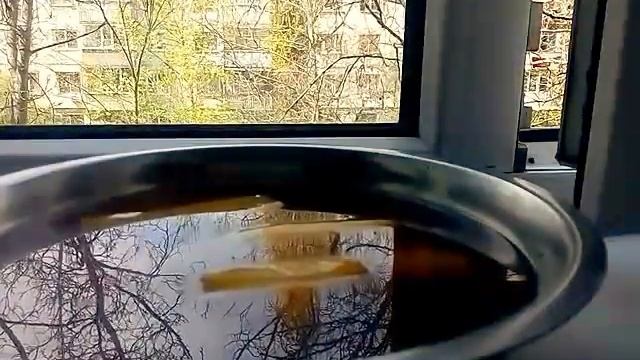 ПИТАНИЕ ОТ ЛИШНЕГО ВЕСА И ДИАБЕТА часть 2 22.04.2017