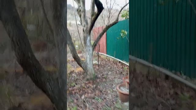 9 января. Рождественские морозы! смотреть онлайн