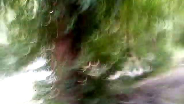 Резкий подъём уровня реки после сильного ливня. смотреть онлайн