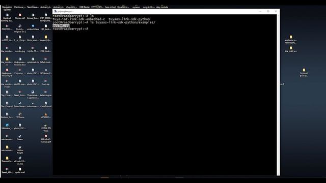 Создание нового устройства из Raspberry pi в системе умного дома Tuya Cloud смотреть онлайн