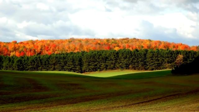 Красивая музыка Саксофон смотреть онлайн
