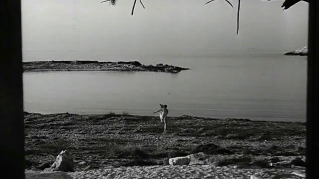 Zorba the Greek (1964) Music Video смотреть онлайн