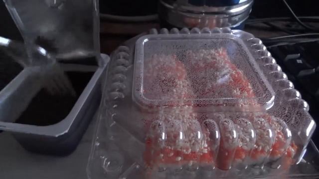 Сырные палочки, Тирамису и ролл Калифорния с угрем (Империя Пиццы) смотреть онлайн