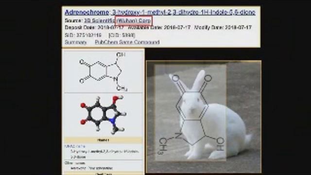 Часть 7. Хороший фильм